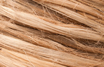 Comprehensive Hair Regrowth Kits for Women and Men